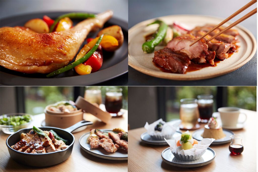 🌸 꿈 코스모스 동산(유메 코스모스 엔) 이미지 12